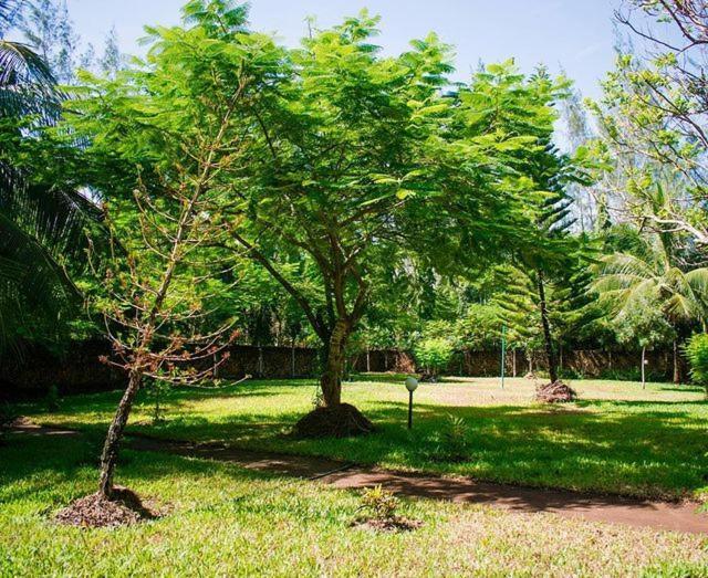 דיאני ביץ' Kijani Cottages Diani מראה חיצוני תמונה
